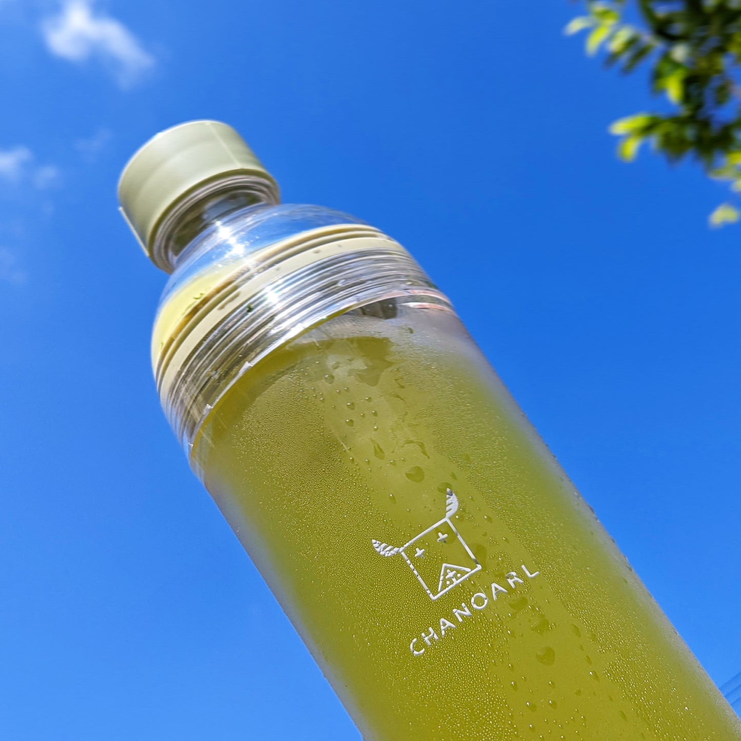 CHANOARL x HARIO 水出しポータブルボトル 400ml スモーキーグリーン