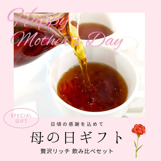 母の日ギフト 贅沢リッチ 日本茶ティーバッグ 飲み比べセット チャノアール