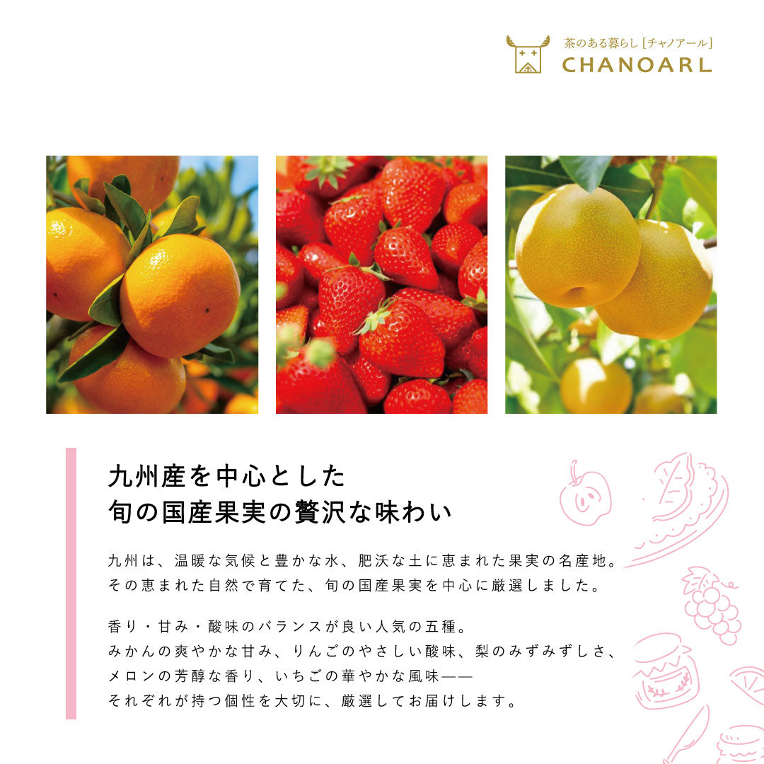 チャノアール 九州産 国産果実 完全無添加ドライフルーツミックス