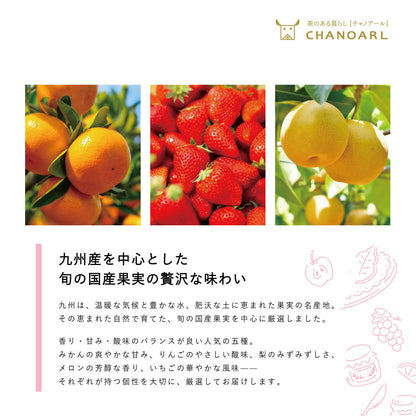 チャノアール 九州産 国産果実 完全無添加ドライフルーツミックス