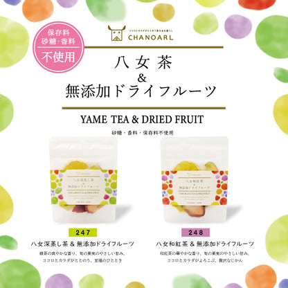 CHANOARL 八女深蒸し茶＆無添加ドライフルーツ【国産無添加フルーツティー】 緑茶ティーバッグ 九州産 乾燥果実 砂糖不使用 無香料 添加物不使用