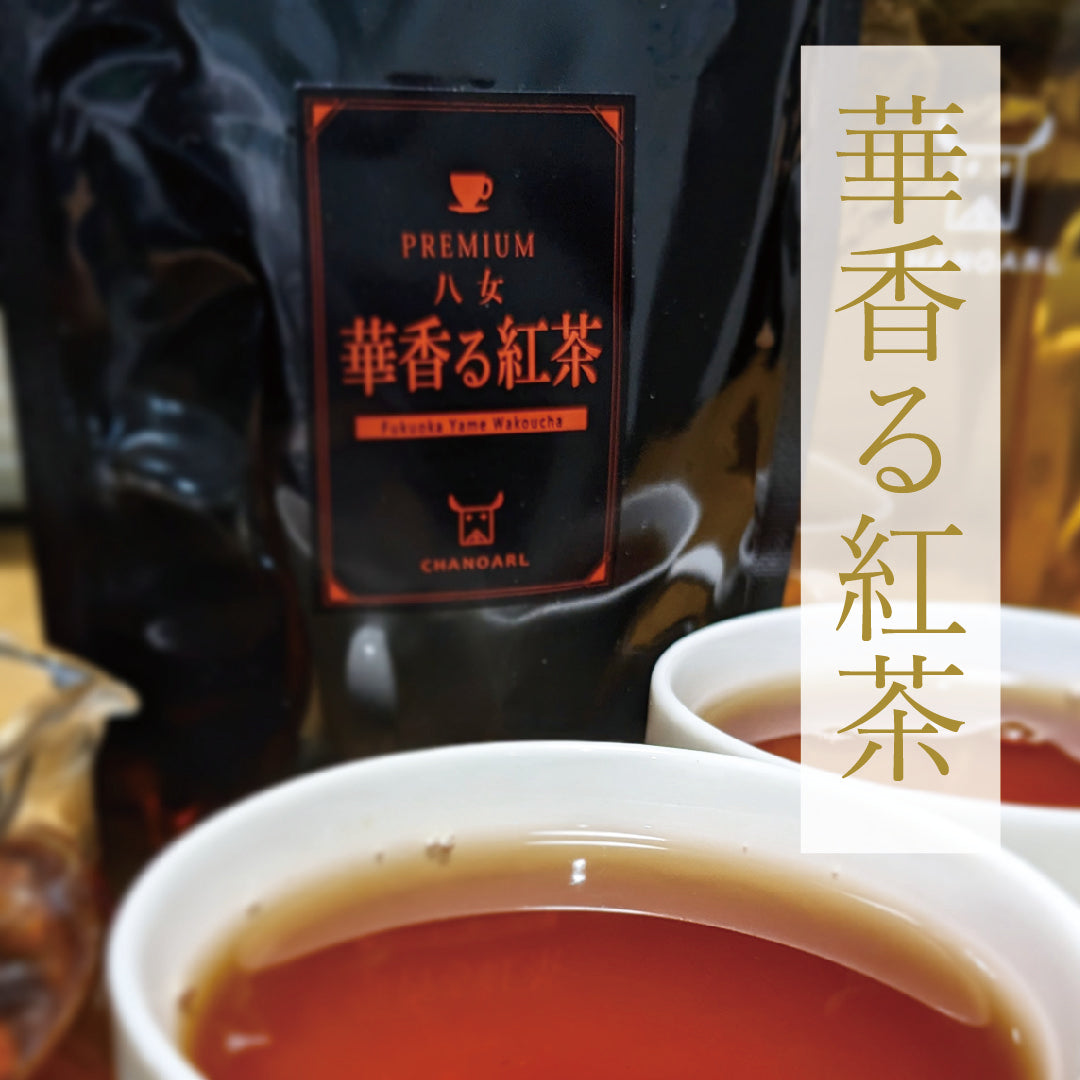 CHANOARL プレミアム八女茶ティーバッグ 4種ギフトボックス