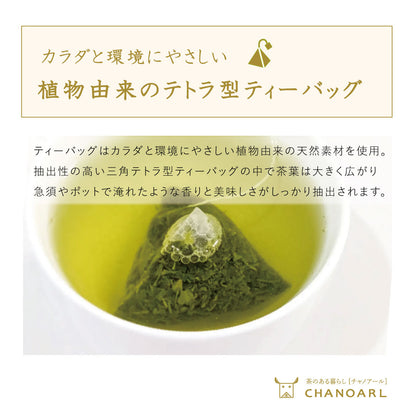 CHANOARL 八女深蒸し茶＆無添加ドライフルーツ【国産無添加フルーツティー】 緑茶ティーバッグ 九州産 乾燥果実 砂糖不使用 無香料 添加物不使用