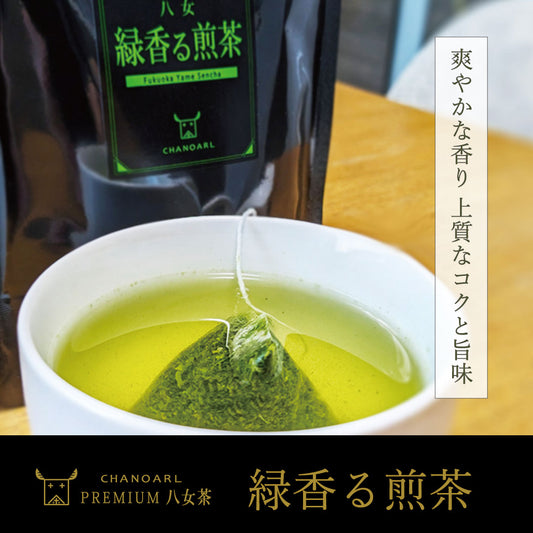 CHANOARL プレミアム八女茶「緑香る煎茶」ティーバッグ