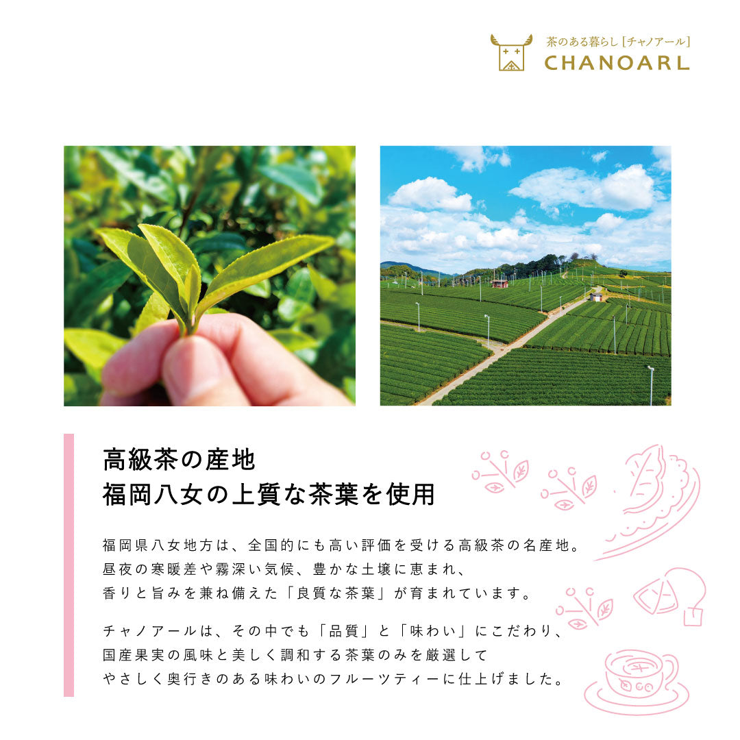 CHANOARL 八女深蒸し茶＆無添加ドライフルーツ【国産無添加フルーツティー】 緑茶ティーバッグ 九州産 乾燥果実 砂糖不使用 無香料 添加物不使用